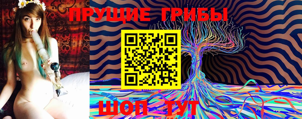 Галлюциногенные грибы MAGIC MUSHROOMS Будённовск