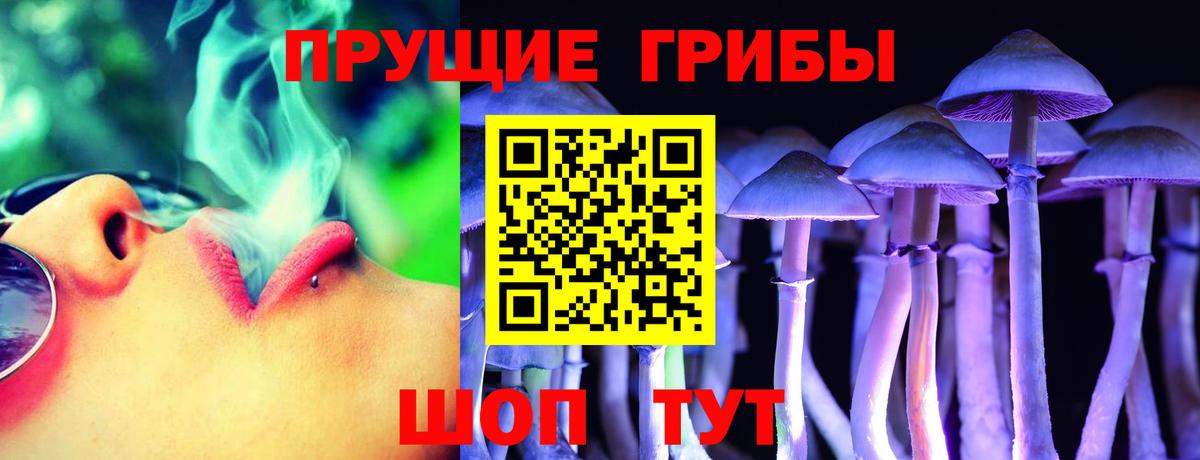 Будённовск  Галлюциногенные грибы ЛСД  Вход с VPN 